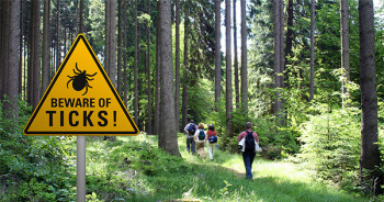 "Beware of Ticks" sign in wooded area